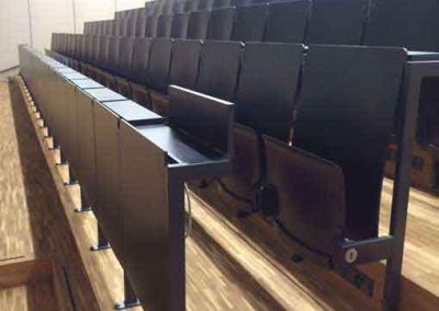 Auditorium Seating 15 PH Ludwigsburg, Germany